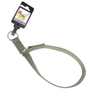 Sytt stryphalsband av nylon med ring, grönt, 20mm x 55cm