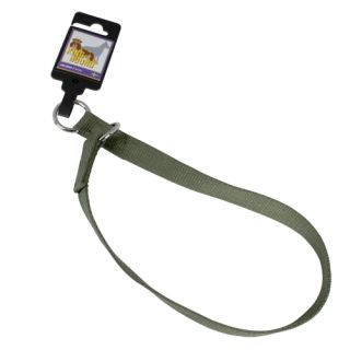 Sytt stryphalsband av nylon med ring, grönt, 20mm x 65cm