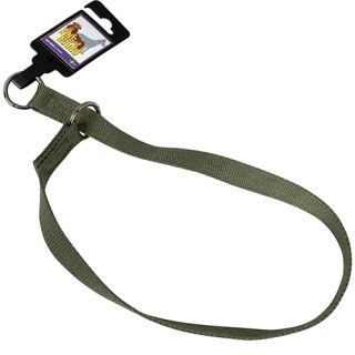 Sytt stryphalsband av nylon med ring, grönt, 20mm x 75cm