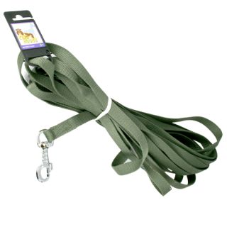 Polyesterkoppel med karbinhake, grön, 20 mm x 12 meter