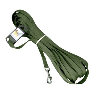 Polyesterkoppel med karbinhake, grön, 20 mm x 20 meter