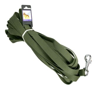 Polyesterkoppel med karbinhake, grön, 25 mm x 15 meter