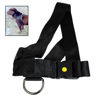 DS Hetssele skyddshund DS polyester, svart, 65 cm